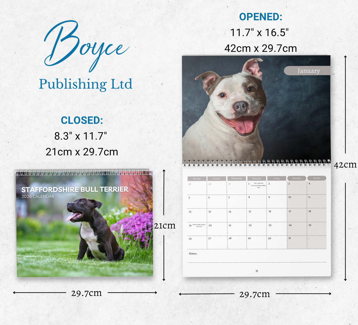Staffordshire Bull Terrie Calendar 2026
