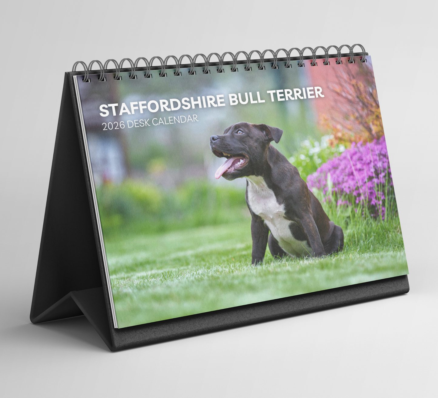 Staffordshire Bull Terrier Desk Calendar 2026-2027