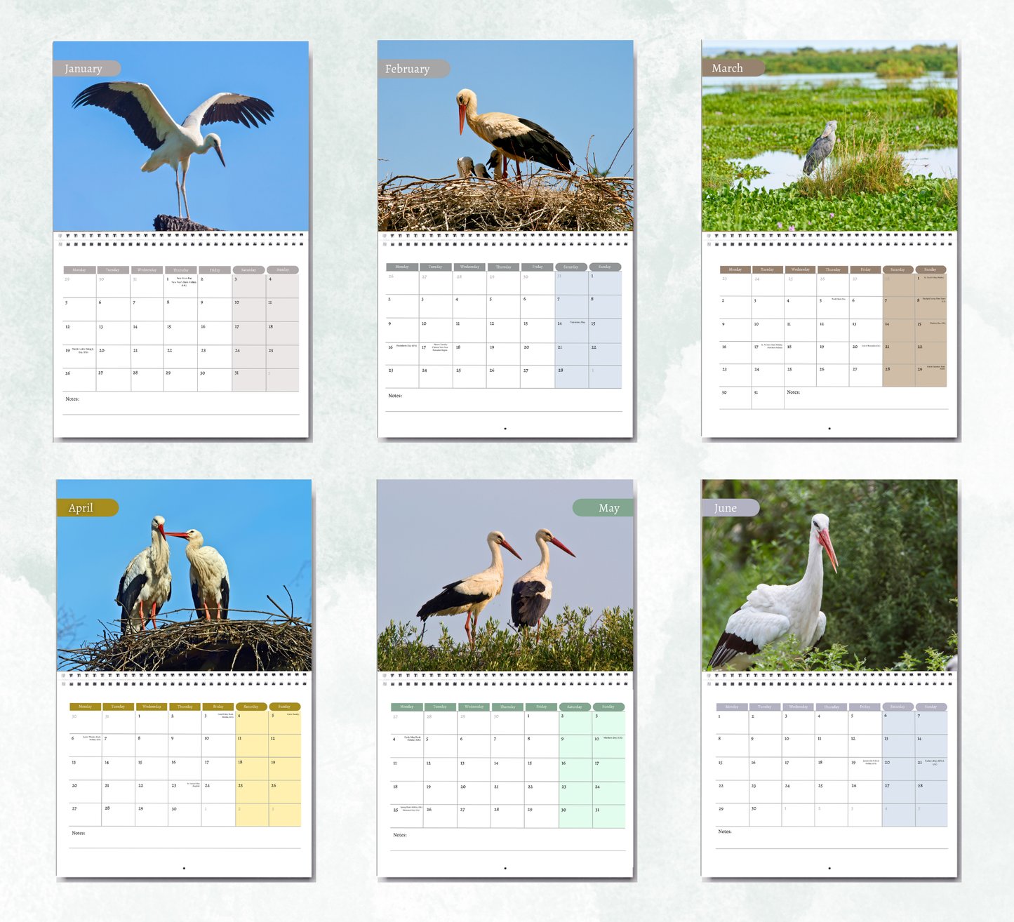 Stork Calendar 2026