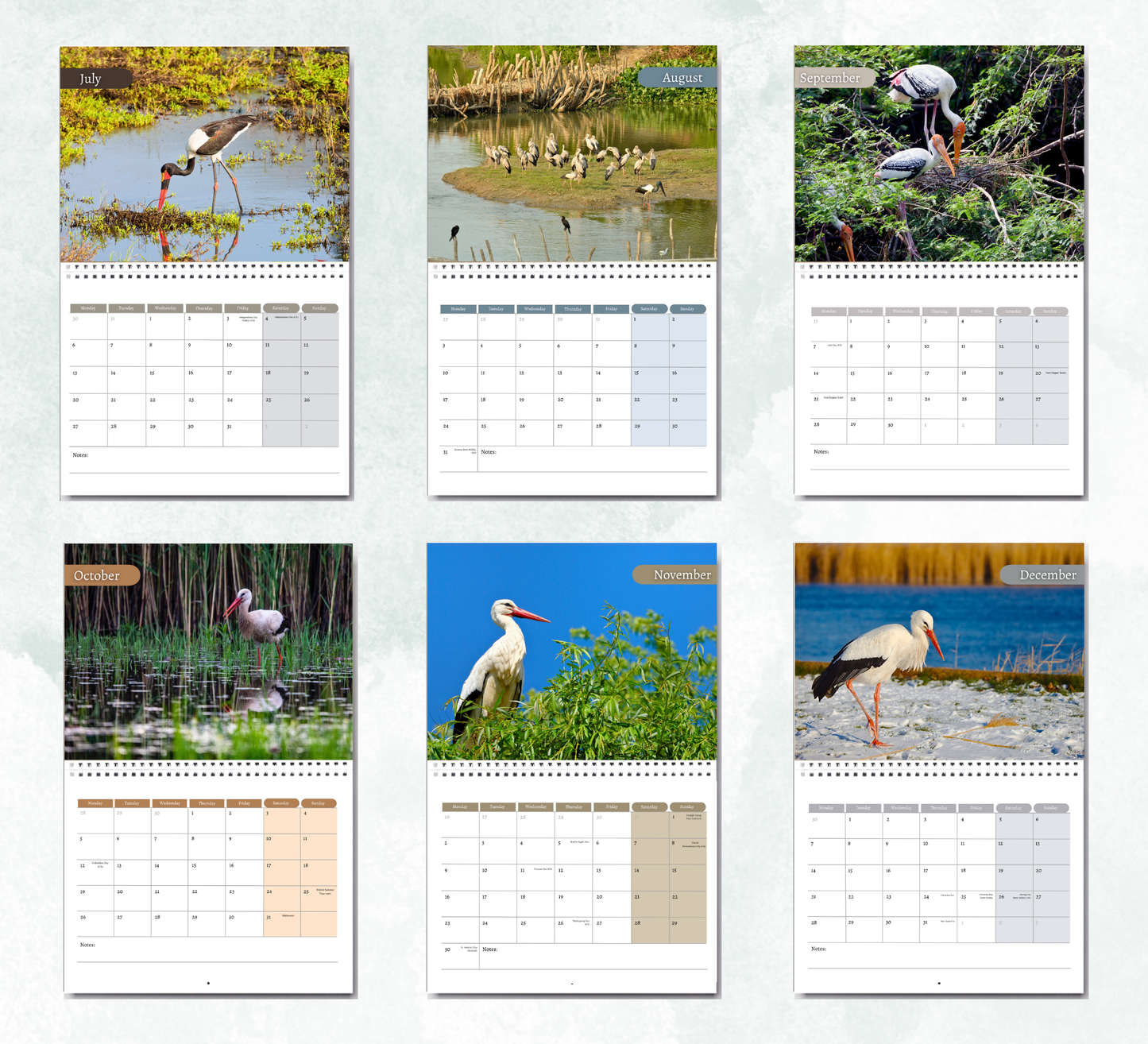 Stork Calendar 2026