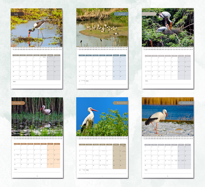 Stork Calendar 2026
