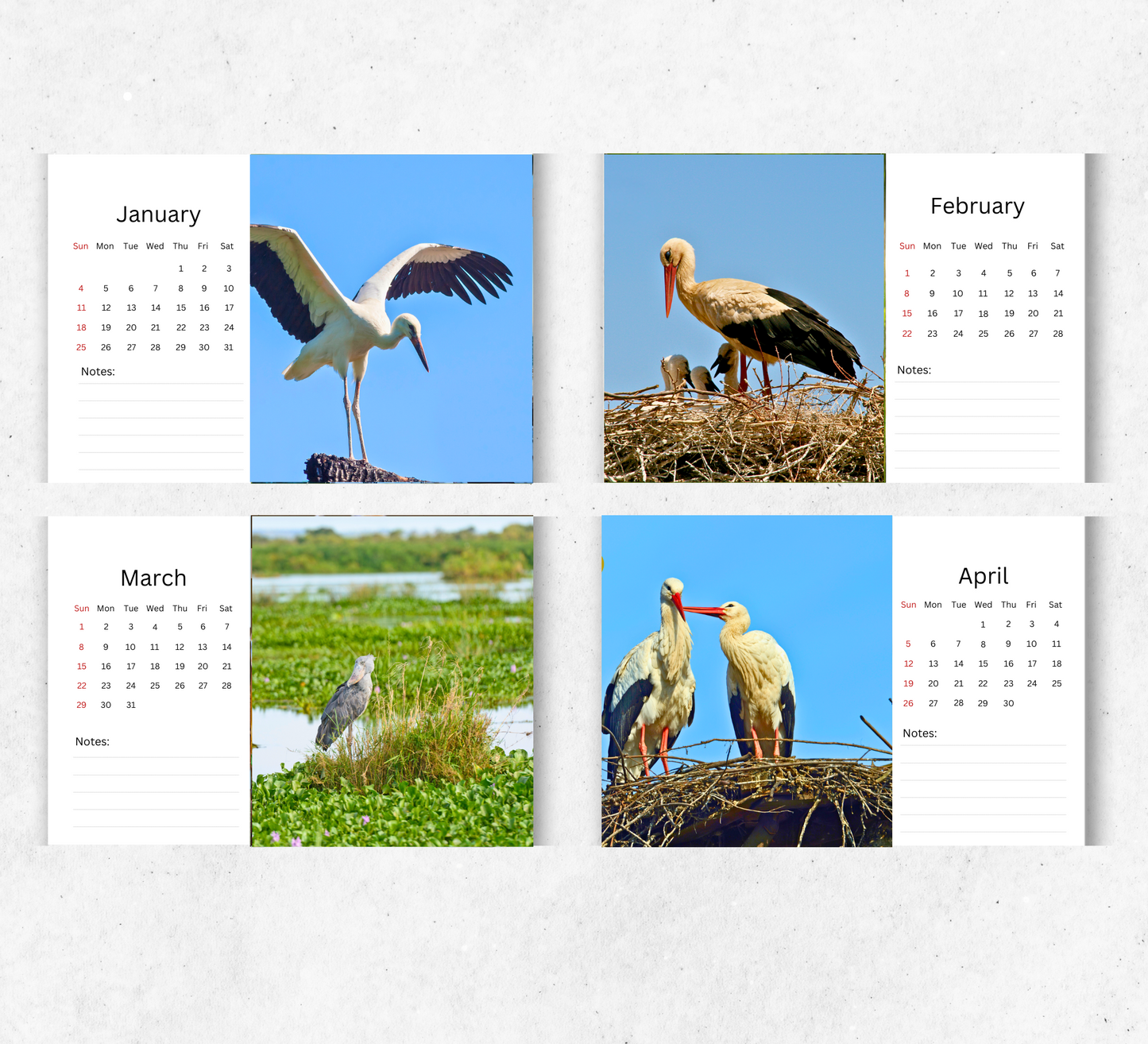 Stork Desk Calendar 2026-2027