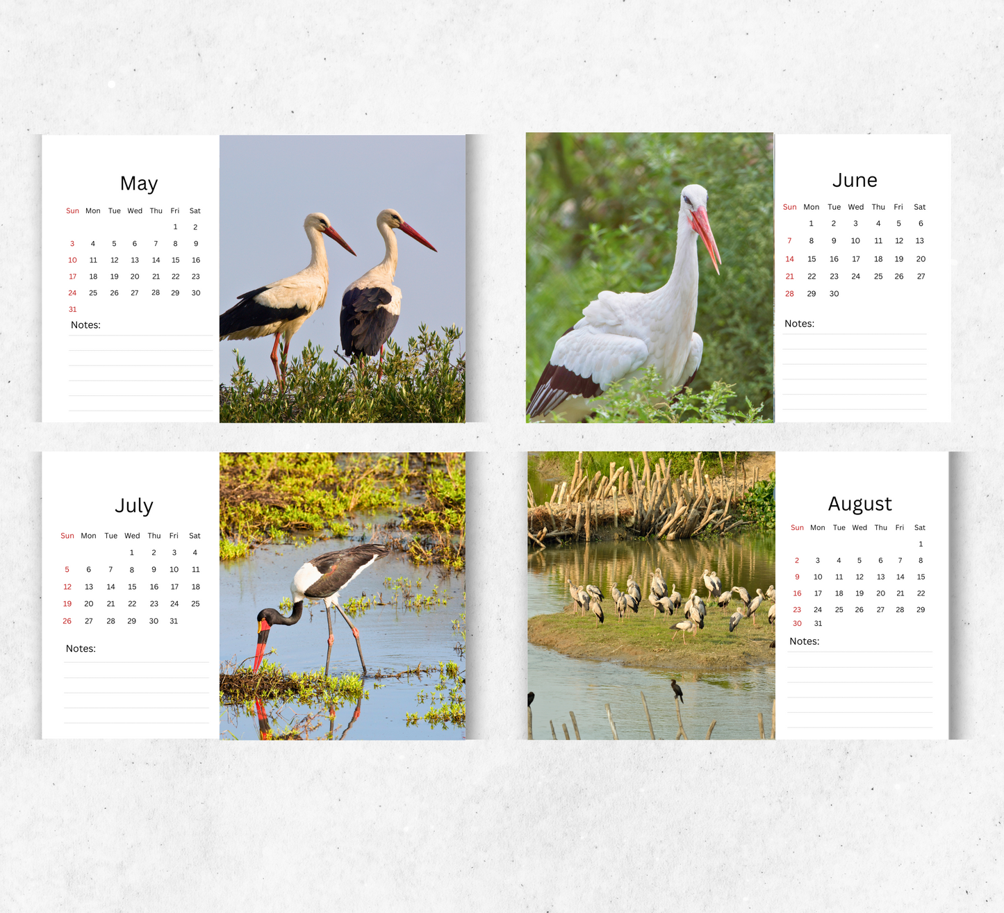 Stork Desk Calendar 2026-2027