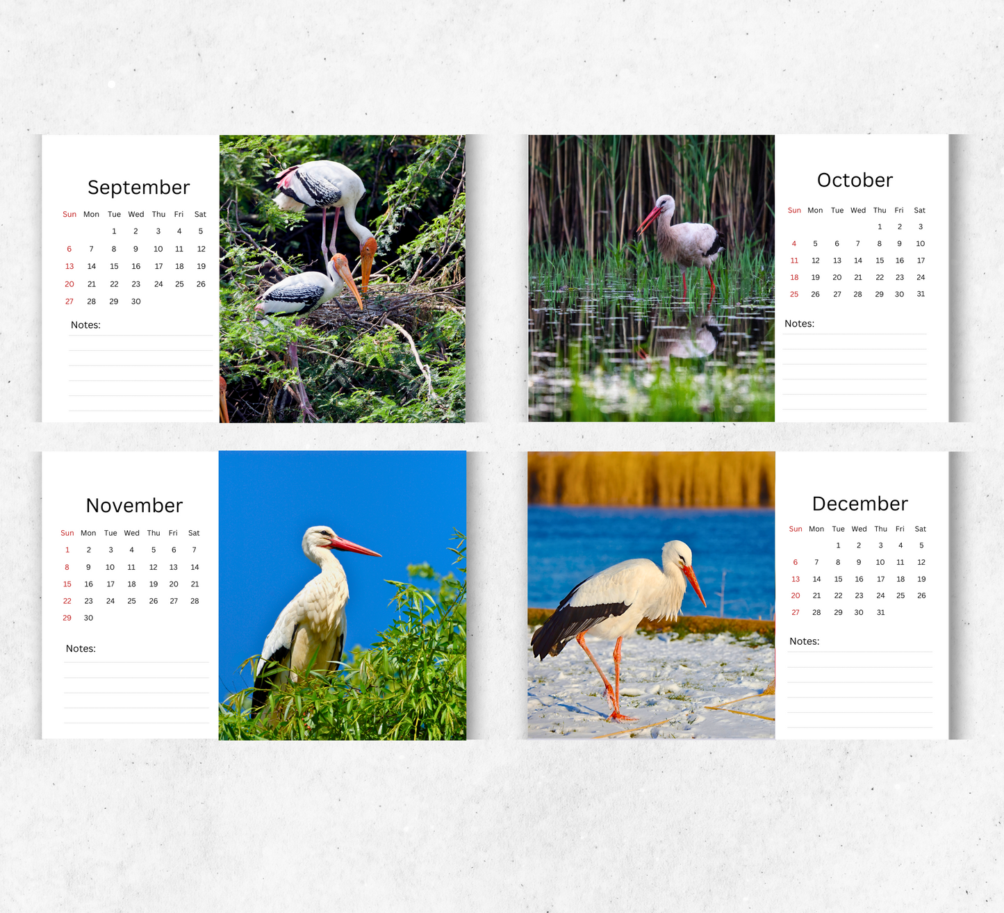 Stork Desk Calendar 2026-2027