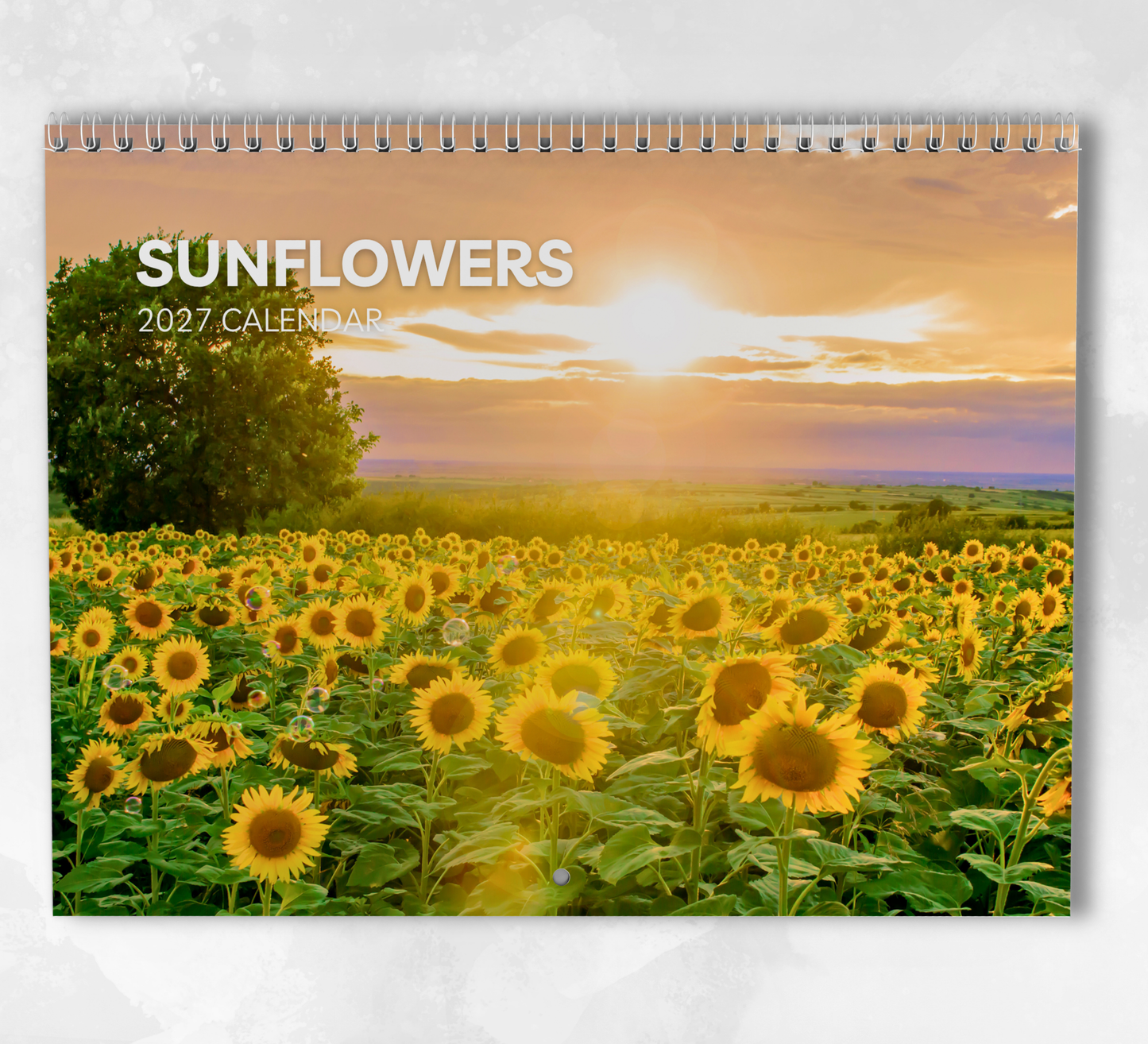 Sunflowers Calendar 2027