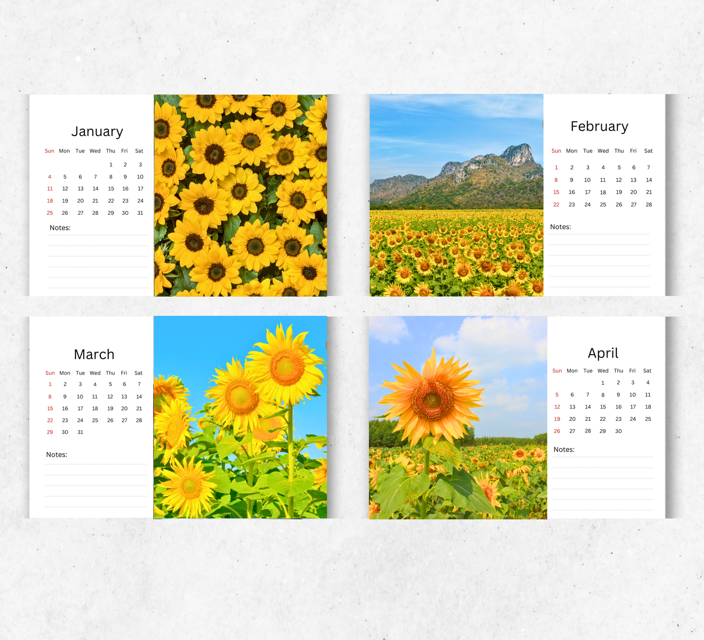 Sunflowers Desk Calendar 2026-2027