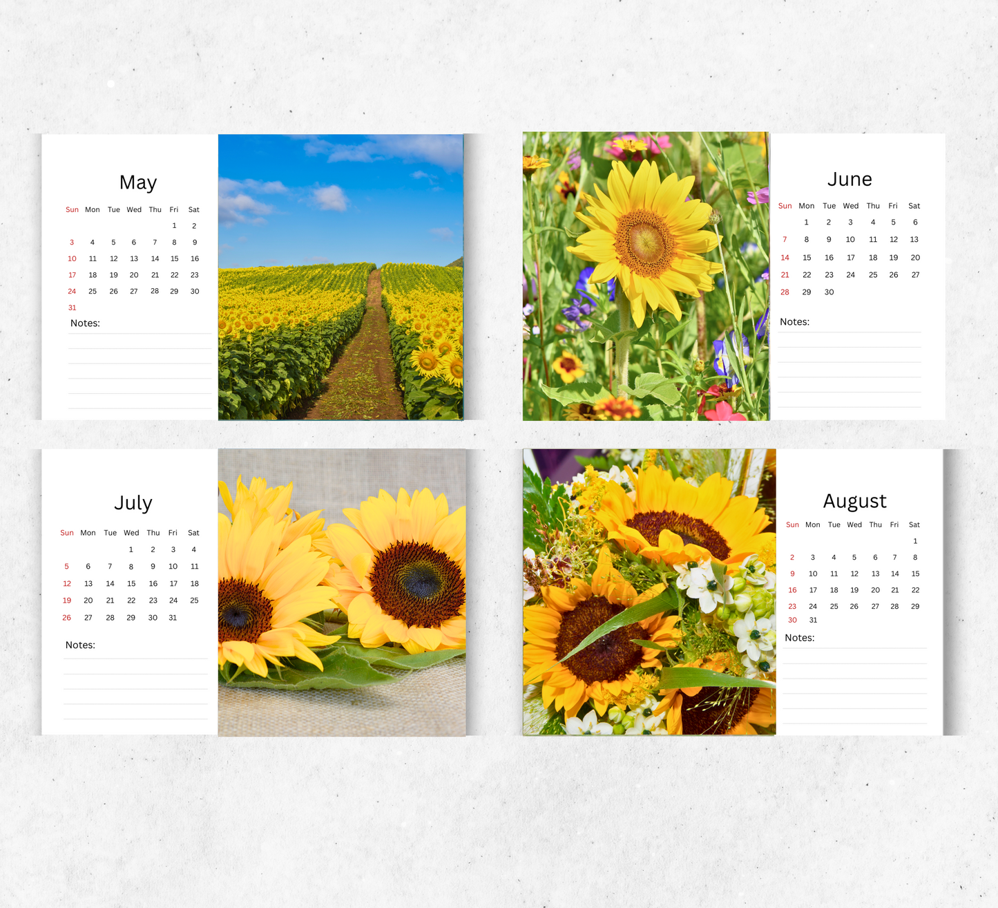 Sunflowers Desk Calendar 2026-2027