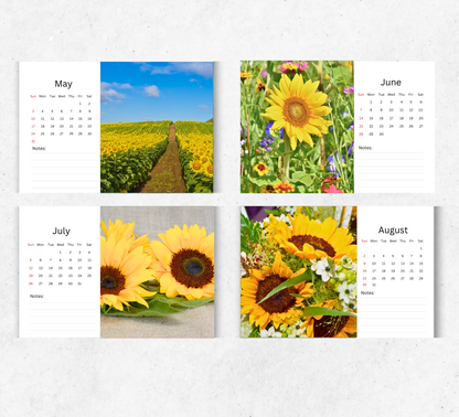 Sunflowers Desk Calendar 2026-2027
