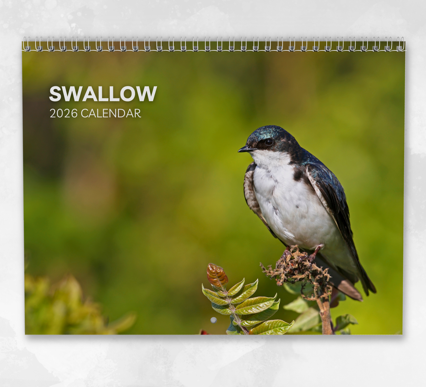 Swallow Calendar 2026