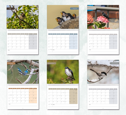 Swallow Calendar 2026