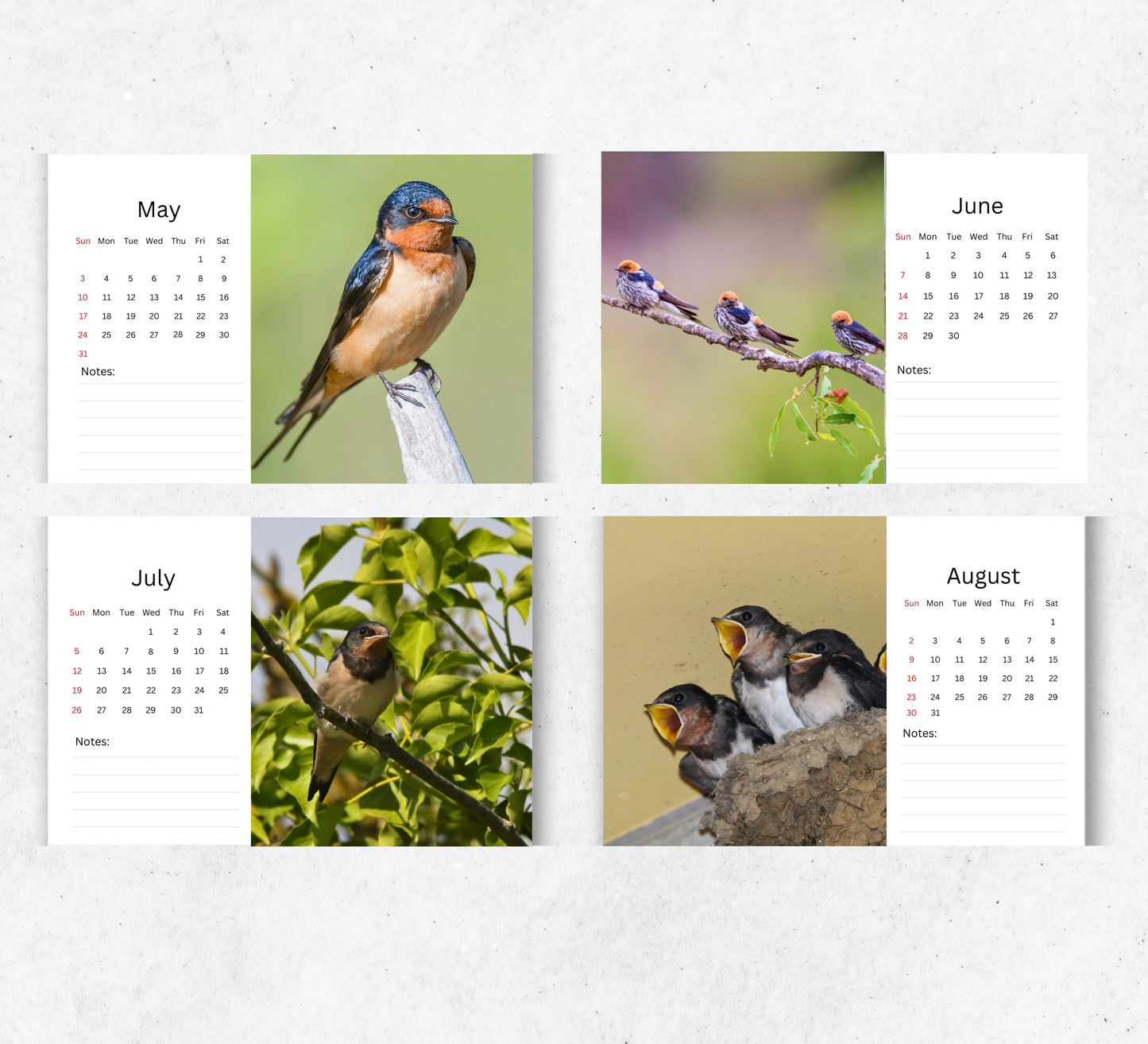 Swallow Desk Calendar 2026-2027