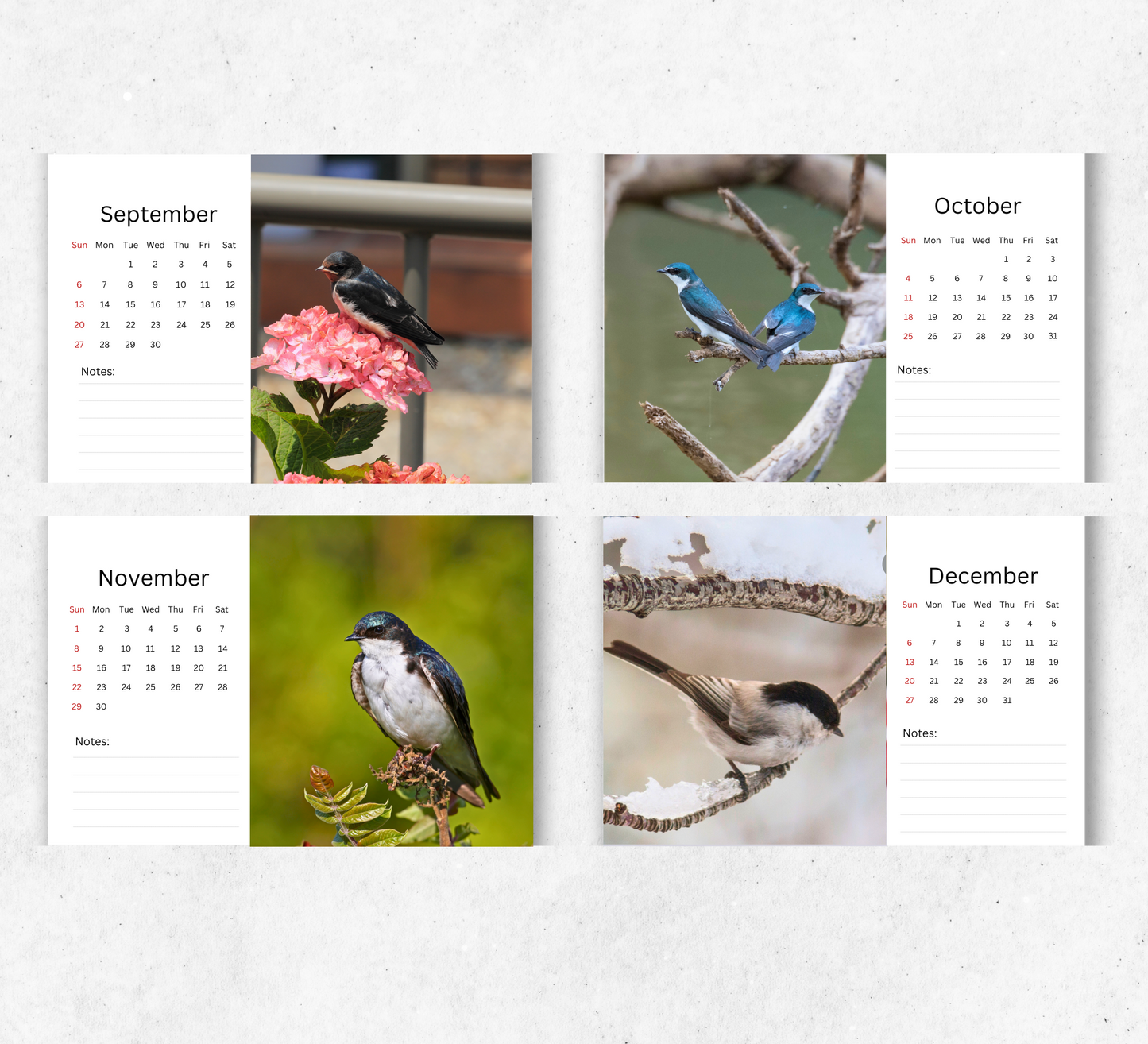 Swallow Desk Calendar 2026-2027