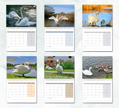 Swan Calendar 2027
