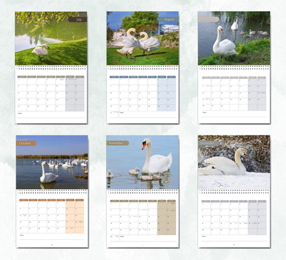 Swan Calendar 2026
