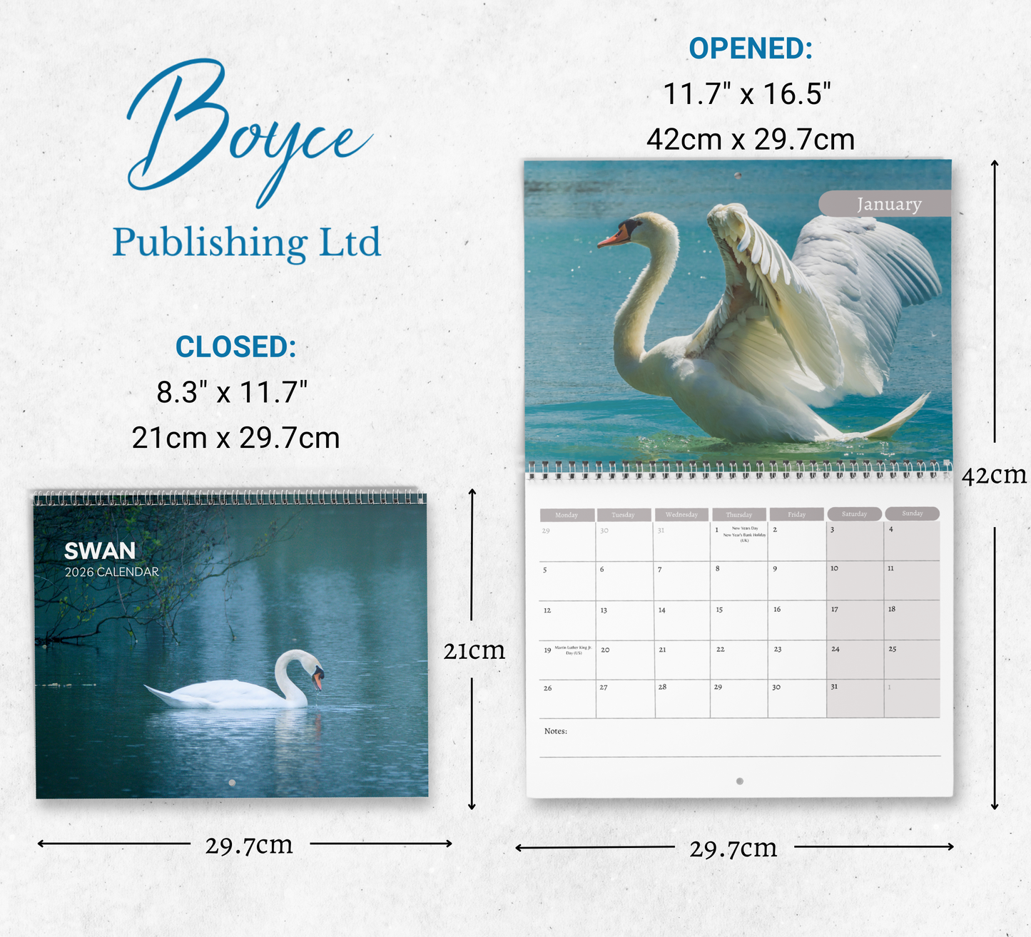 Swan Calendar 2026