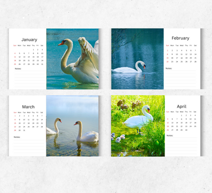 Swan Desk Calendar 2026-2027