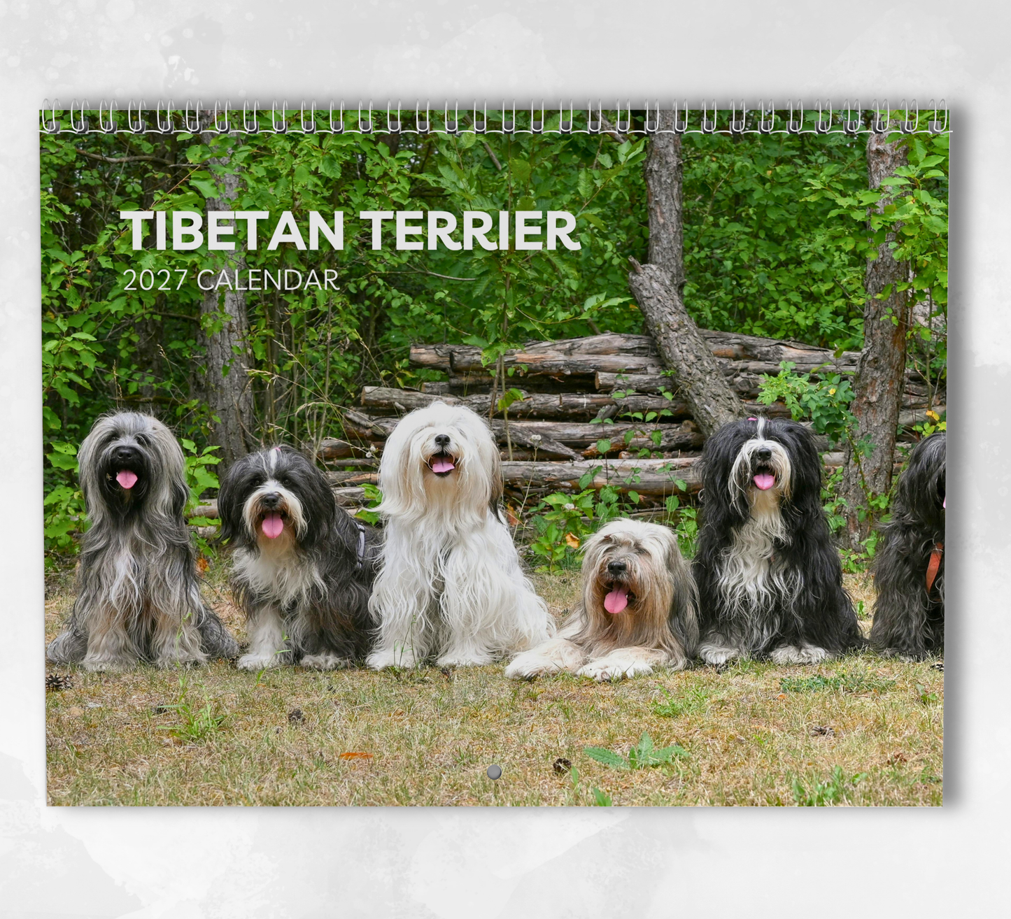 Tibetan Terrier Calendar 2027