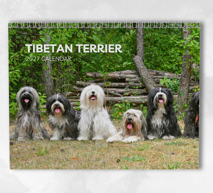 Tibetan Terrier Calendar 2027