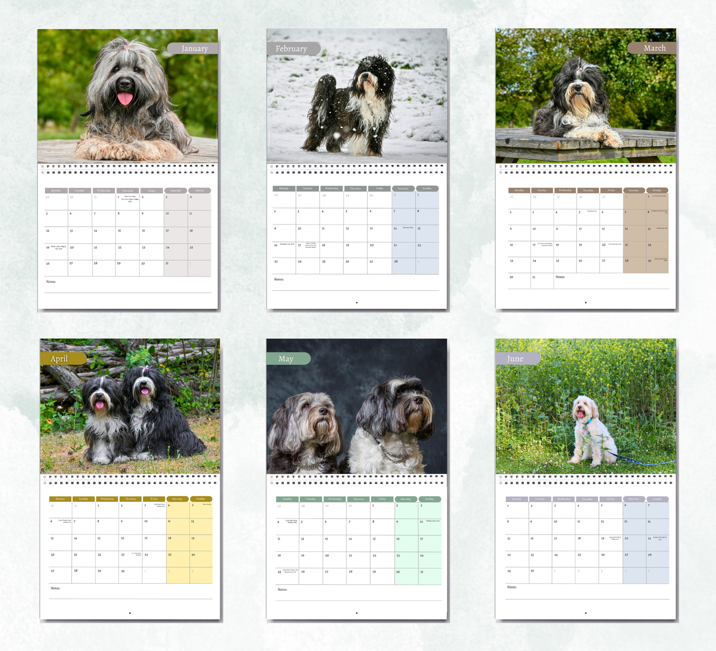 Tibetan Terrier Calendar 2027