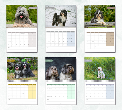 Tibetan Terrier Calendar 2027