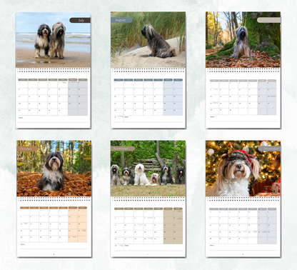 Tibetan Terrier Calendar 2027