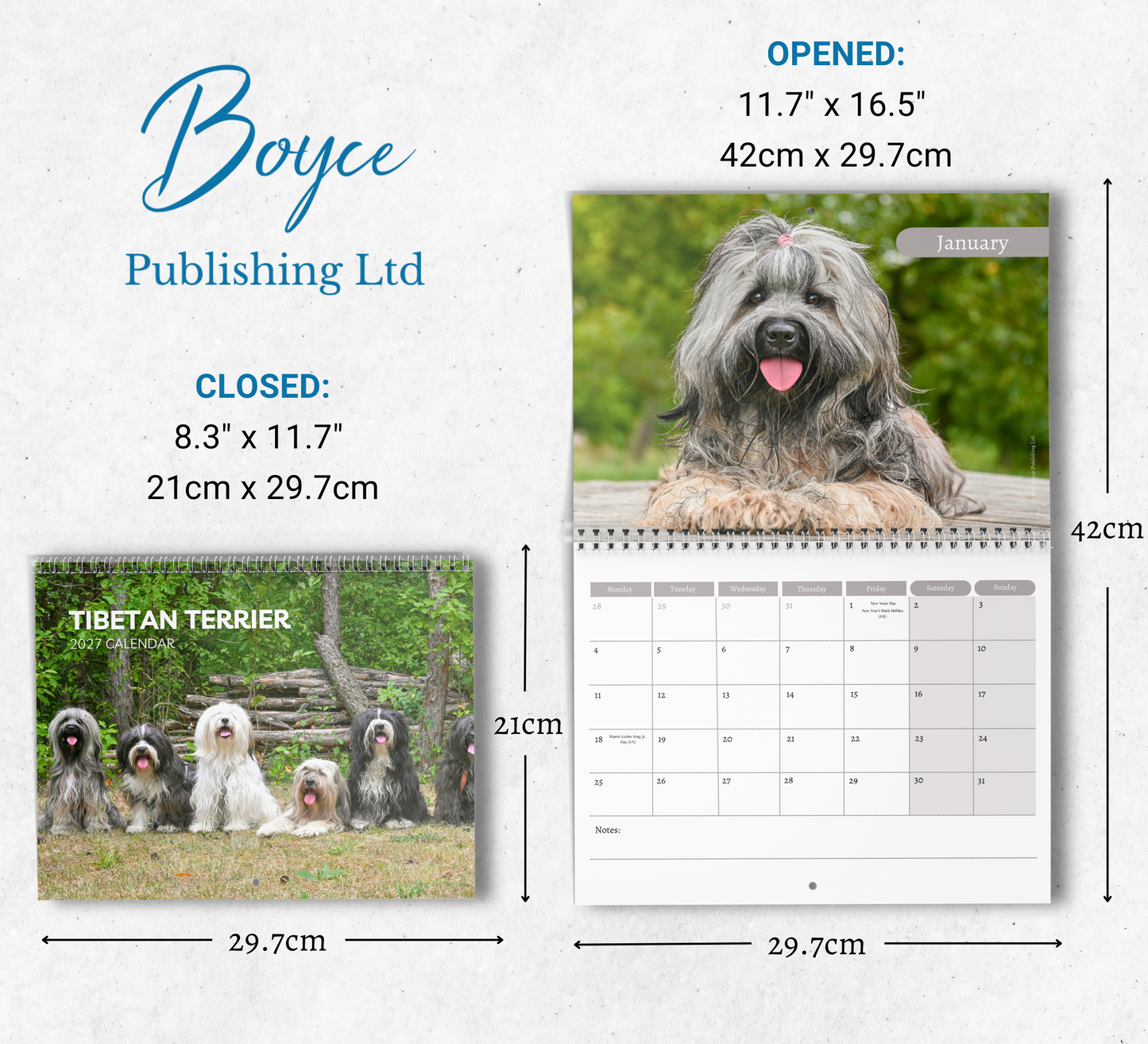 Tibetan Terrier Calendar 2027