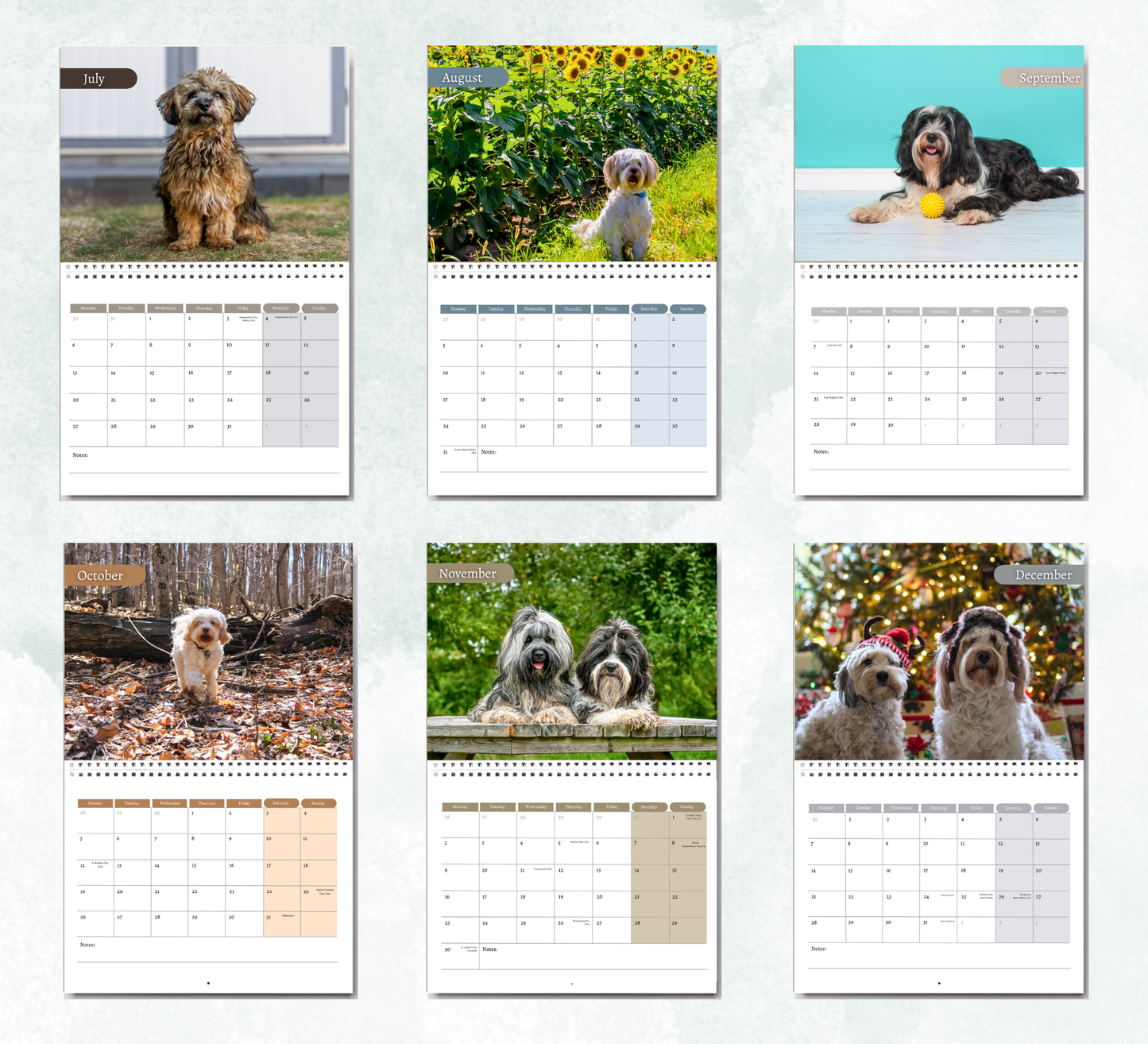 Tibetan Terrier Calendar 2026