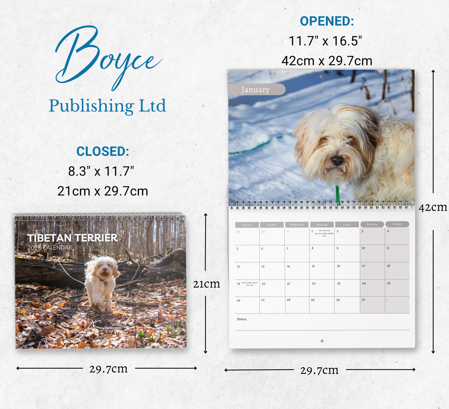 Tibetan Terrier Calendar 2026