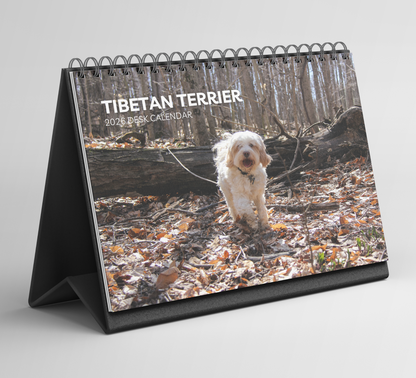 Tibetan Terrier Desk Calendar 2026-2027