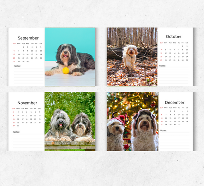 Tibetan Terrier Desk Calendar 2026-2027