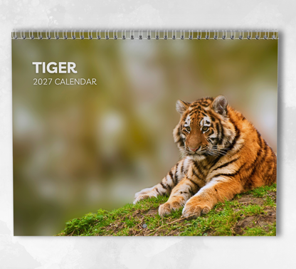 Tiger Calendar 2027