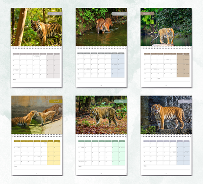 Tiger Calendar 2027