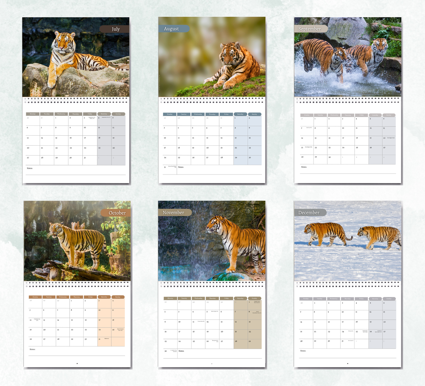 Tiger Calendar 2027