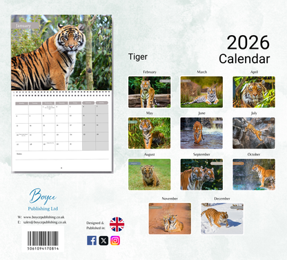 Tiger Calendar 2026