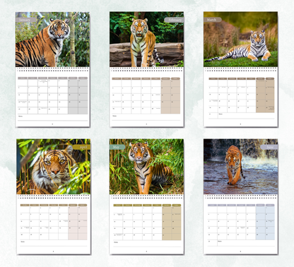 Tiger Calendar 2026
