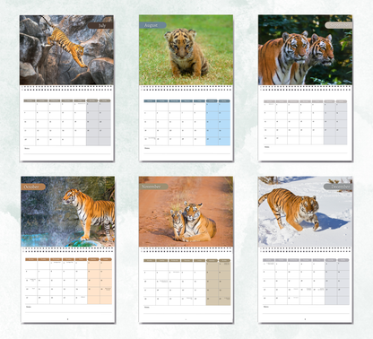 Tiger Calendar 2026