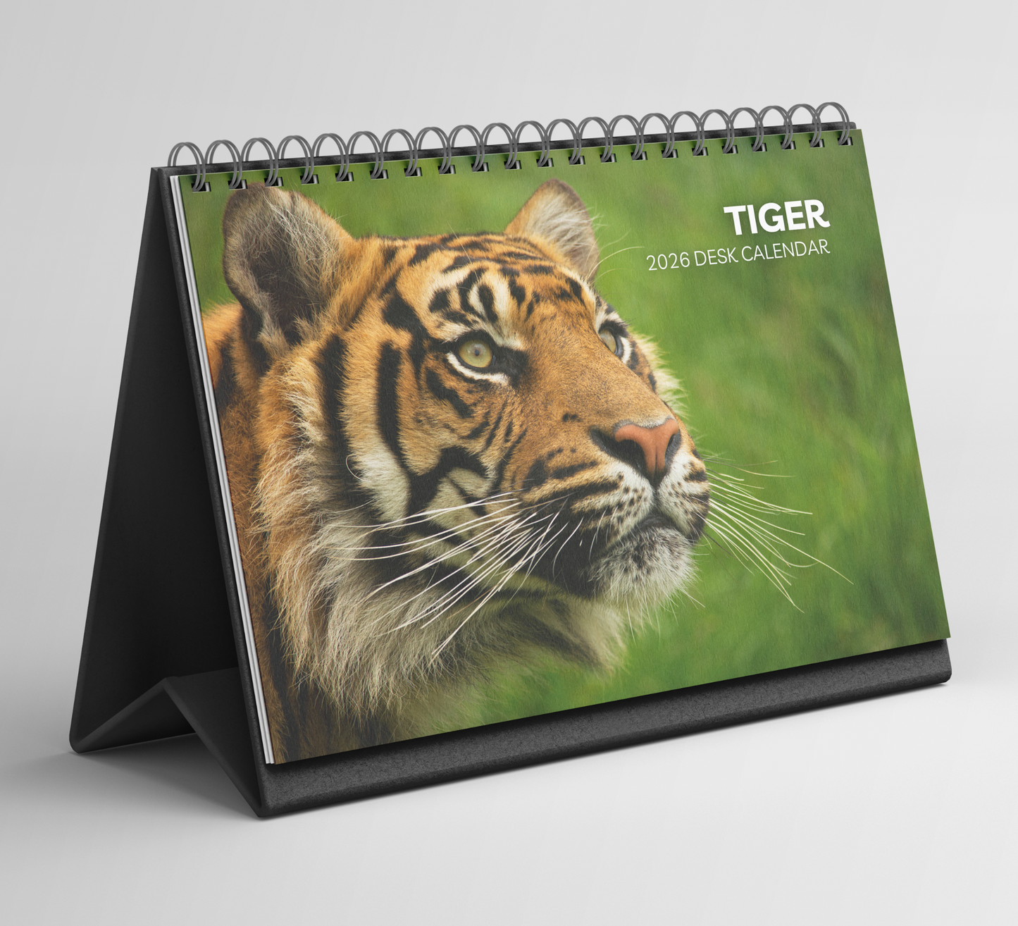 Tiger Desk Calendar 2026-2027