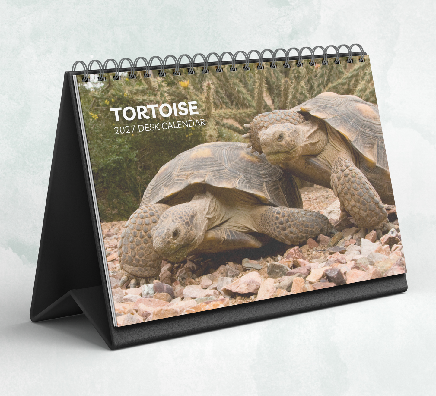Tortoise Desk Calendar 2027-2028