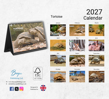 Tortoise Desk Calendar 2027-2028