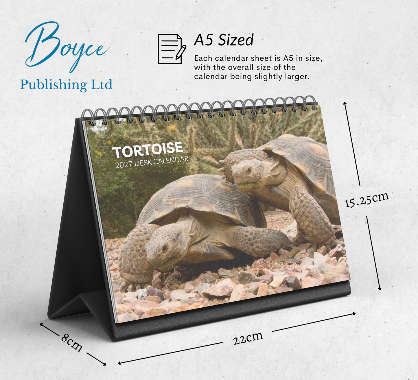 Tortoise Desk Calendar 2027-2028