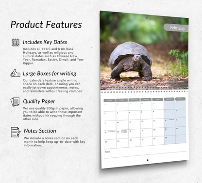 Tortoise Calendar 2026