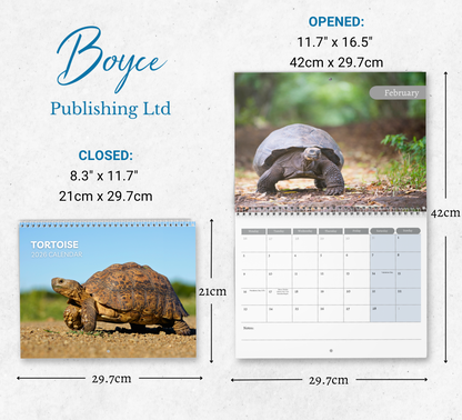 Tortoise Calendar 2026