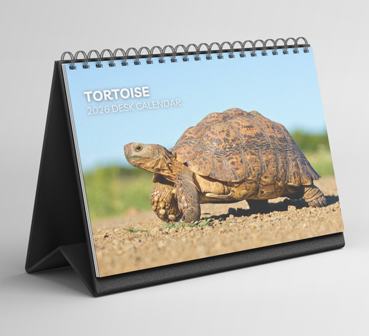 Tortoise Desk Calendar 2026-2027