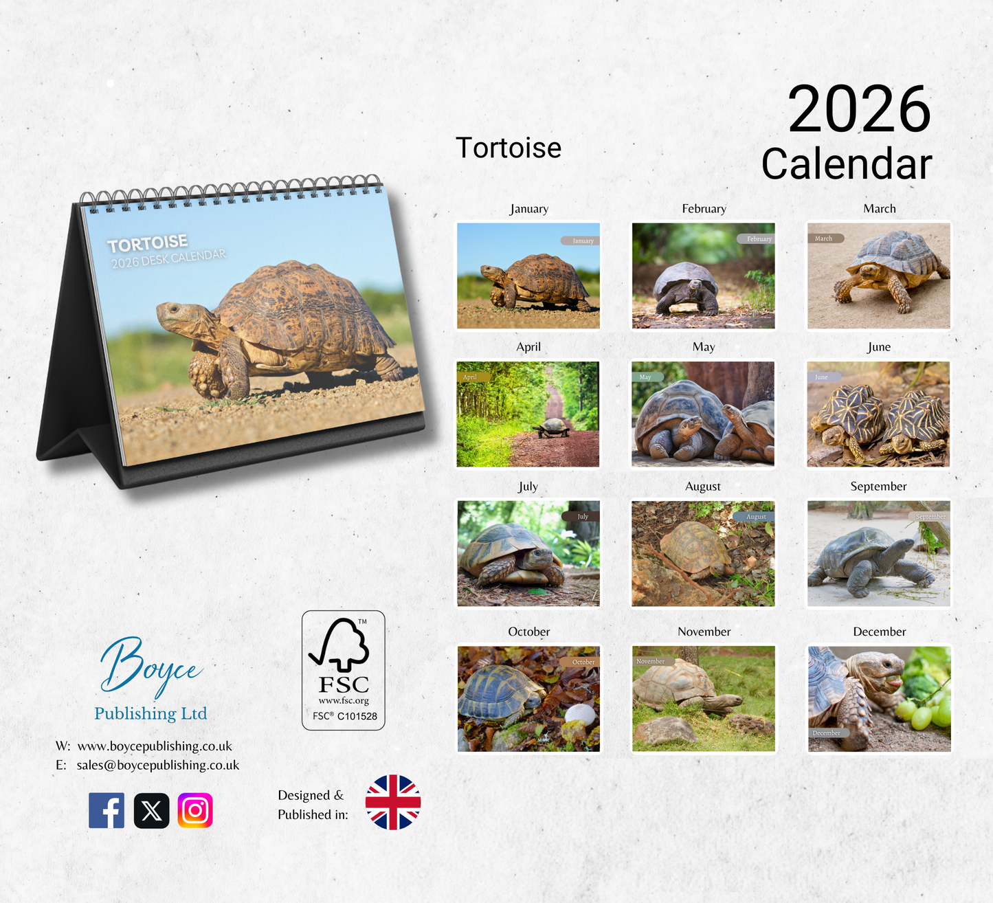 Tortoise Desk Calendar 2026-2027