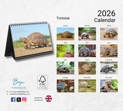 Tortoise Desk Calendar 2026-2027