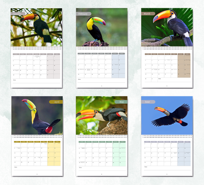 Toucan Calendar 2027