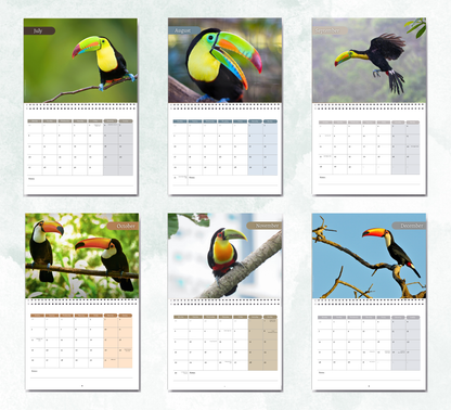 Toucan Calendar 2027