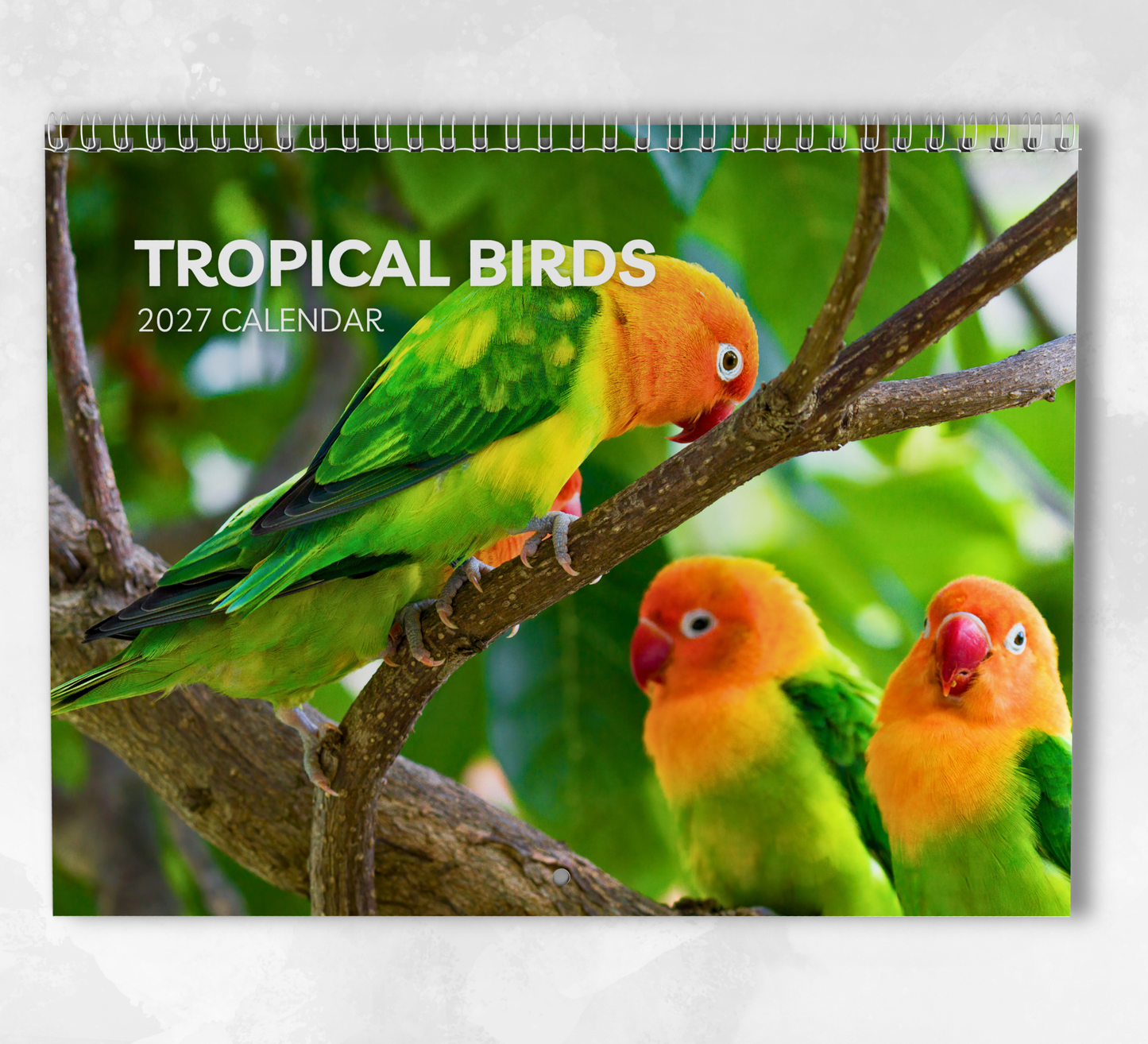 Tropical Birds Calendar 2027