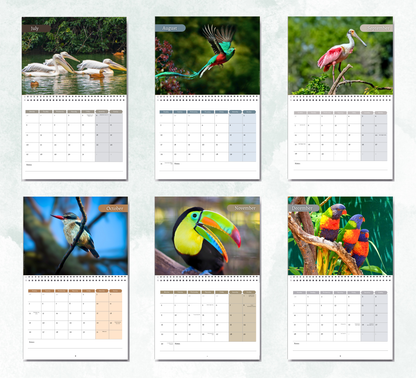 Tropical Birds Calendar 2027