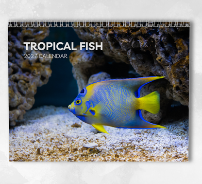 Tropical fish Calendar 2027